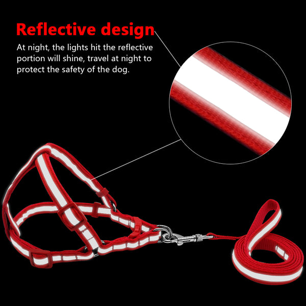 Reflective Dog Harness & Leash - The Sofia Shop