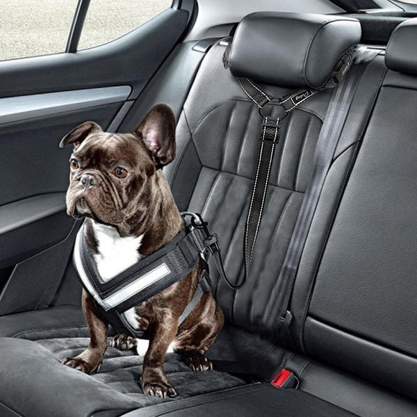 Dog Car Seat Belt - The Sofia Shop