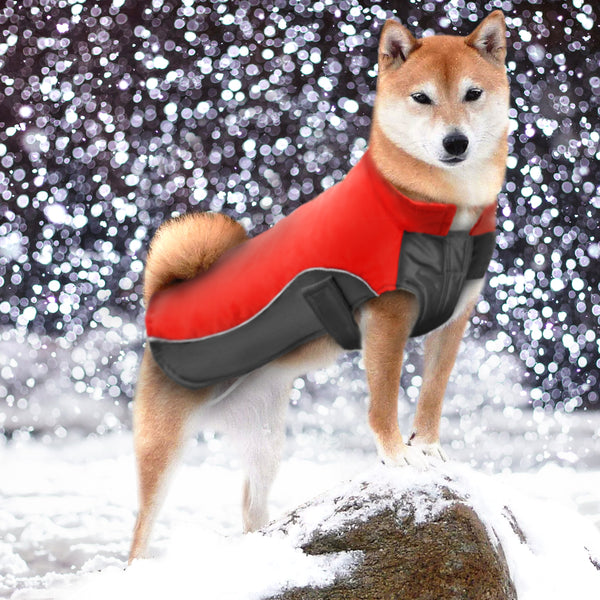 Waterproof Dog Vest Jacket - The Sofia Shop
