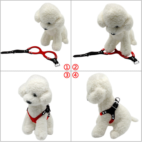 Chewy V Leather Harness & Leash - Hype Pups, Pet Boutique