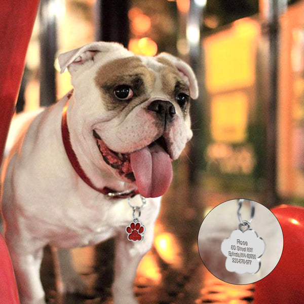 Glitter Paw Pet ID - The Sofia Shop
