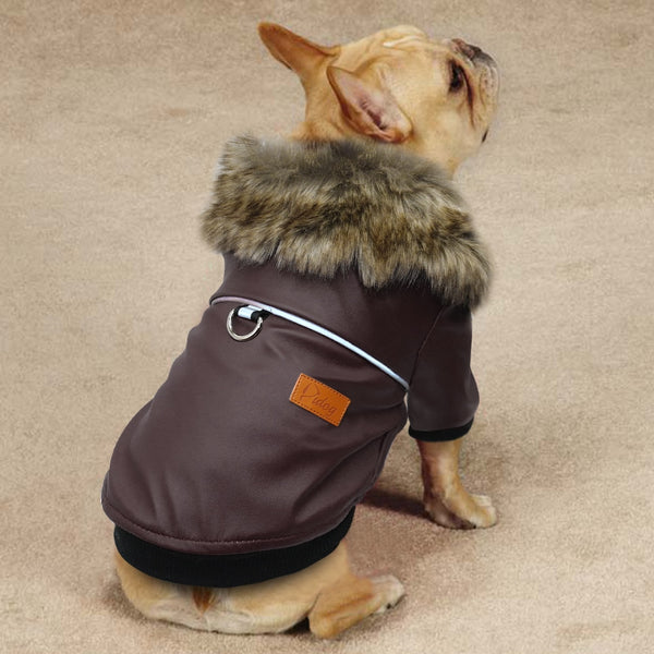Fur Dog Jacket - The Sofia Shop