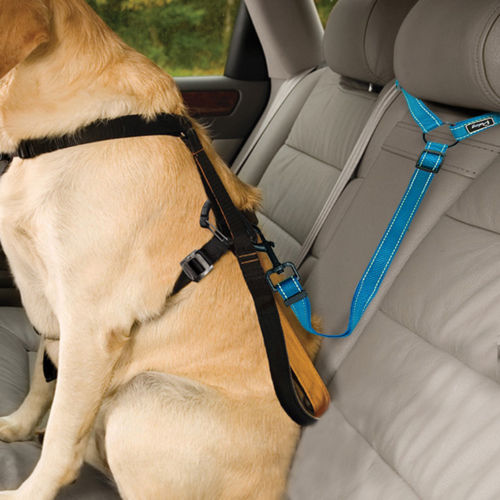 Dog Car Seat Belt – The Sofia Shop