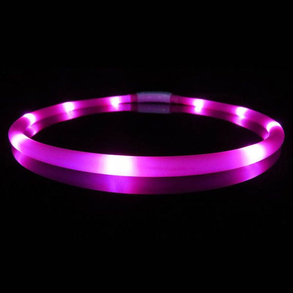 Glow Rechargeable Collar - The Sofia Shop